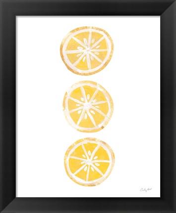 Framed Lemon Slices II Print