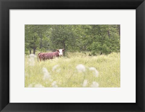 Framed Summer Farm II Print