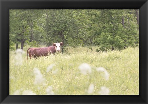 Framed Summer Farm II Print