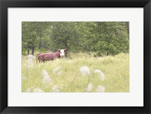 Framed Summer Farm II Print