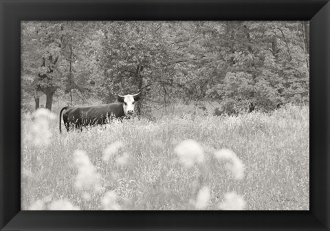 Framed Summer Farm II BW Print