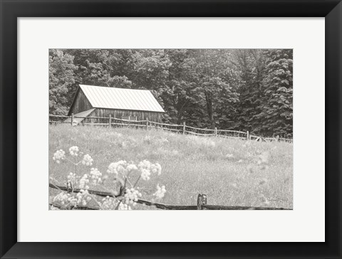 Framed Summer Farm I BW Print