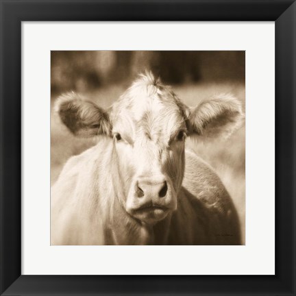 Framed Pasture Cow Sepia Sq Print