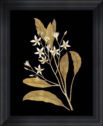 Framed Gold Botanical V on Black Print