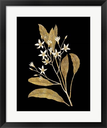 Framed Gold Botanical V on Black Print