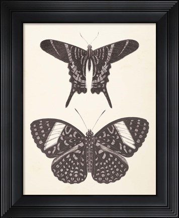 Framed Papillons II Neutral Print