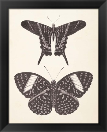 Framed Papillons II Neutral Print