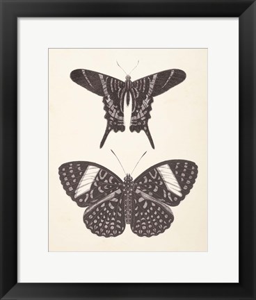 Framed Papillons II Neutral Print