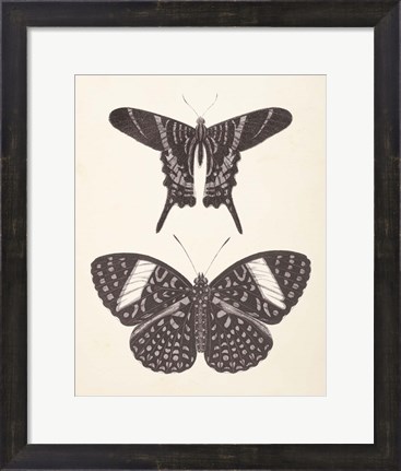 Framed Papillons II Neutral Print