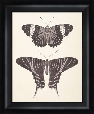 Framed Papillons I Neutral Print