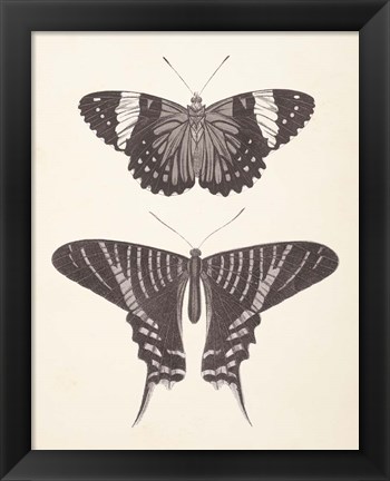 Framed Papillons I Neutral Print