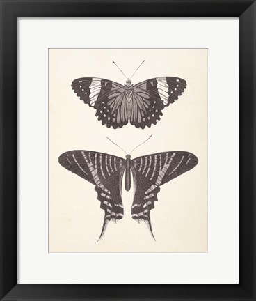 Framed Papillons I Neutral Print