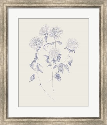 Framed Flowers on White V Blue Print