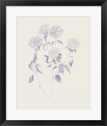 Framed Flowers on White V Blue Print