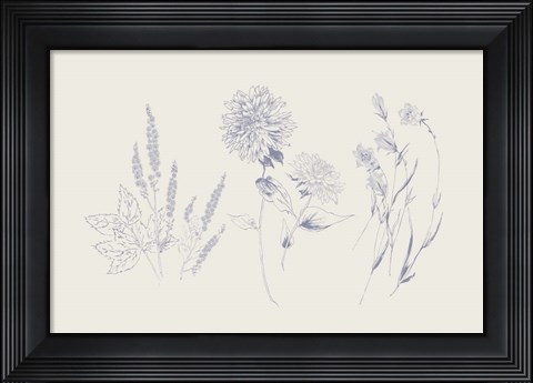 Framed Flowers on White VIII Blue Print