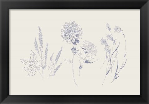 Framed Flowers on White VIII Blue Print