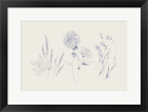 Framed Flowers on White VIII Blue Print