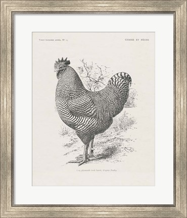 Framed Vintage Farm Life III Print