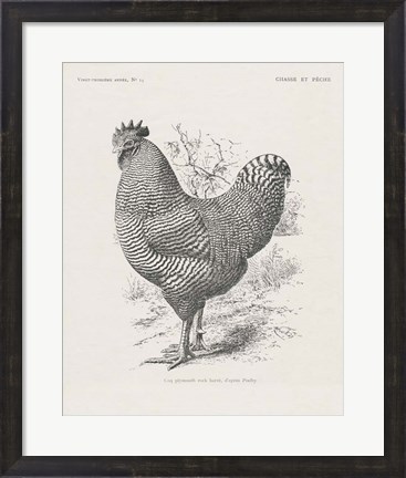 Framed Vintage Farm Life III Print