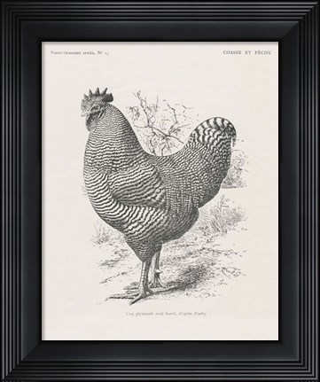 Framed Vintage Farm Life III Print