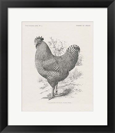 Framed Vintage Farm Life III Print