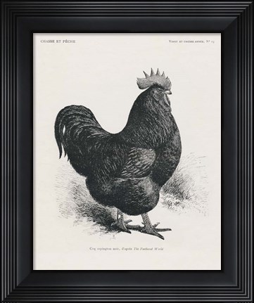 Framed Vintage Farm Life II Print