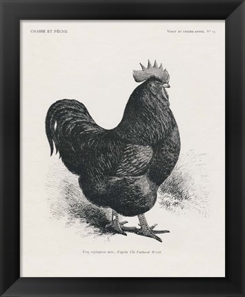 Framed Vintage Farm Life II Print