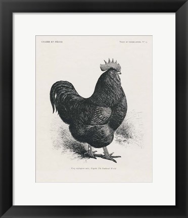 Framed Vintage Farm Life II Print