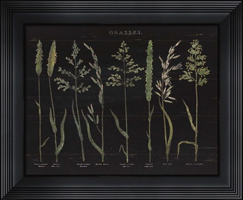 Framed Herbal Botanical VII Black Print