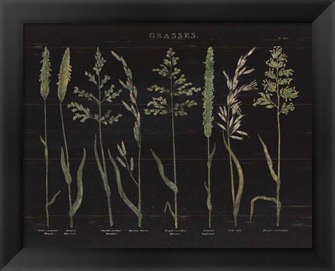 Framed Herbal Botanical VII Black Print