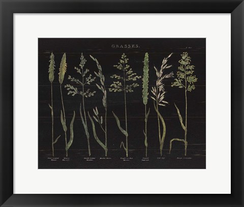 Framed Herbal Botanical VII Black Print