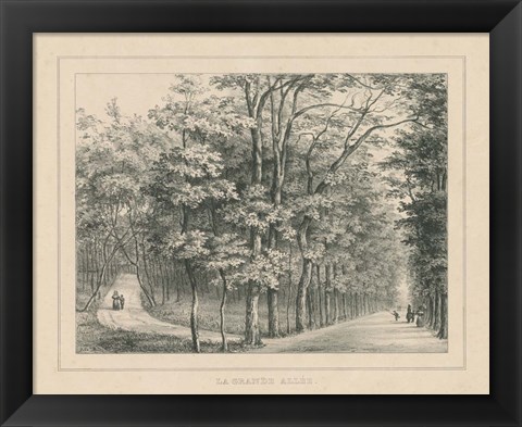 Framed French Park Etching II Print