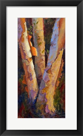 Framed Birch Trio Print
