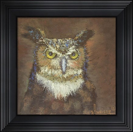 Framed Owl Print