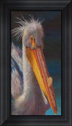 Framed Pelican Print