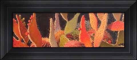 Framed Sundown Print