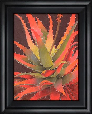 Framed Sunset Agave Print