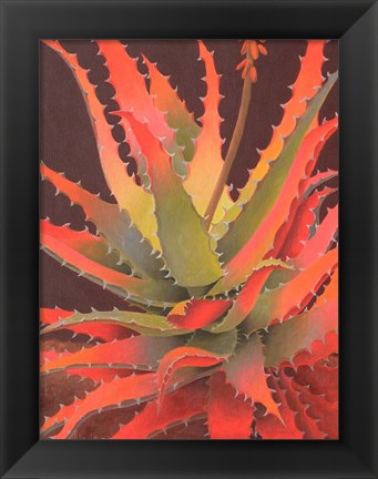 Framed Sunset Agave Print