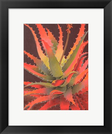 Framed Sunset Agave Print