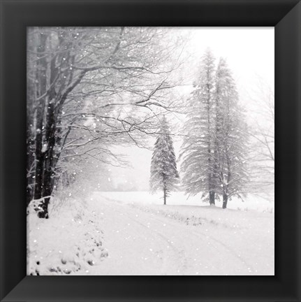 Framed Let it Snow II BW No Words Print