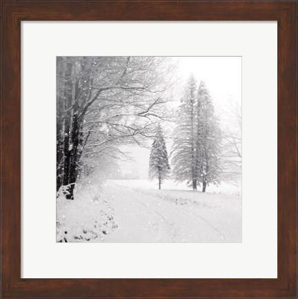 Framed Let it Snow II BW No Words Print