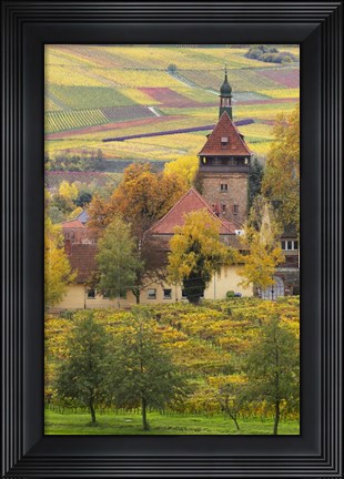 Framed Church And Vineyards, Germany Print