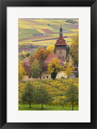 Framed Church And Vineyards, Germany Print