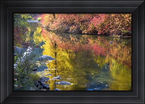 Framed Deep Fall Colors, Wenatchee River, Washington State Print