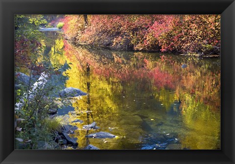 Framed Deep Fall Colors, Wenatchee River, Washington State Print