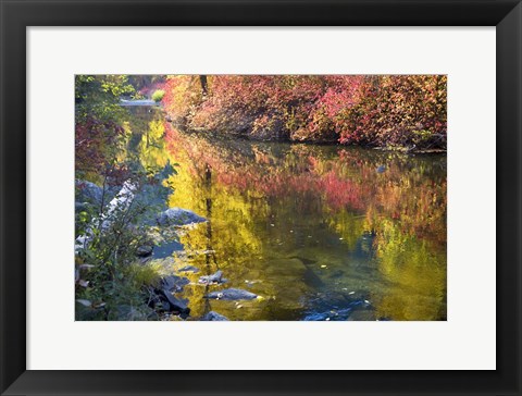 Framed Deep Fall Colors, Wenatchee River, Washington State Print