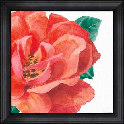 Framed Floral Drama X Print