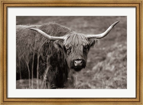 Framed Highland Spring Print