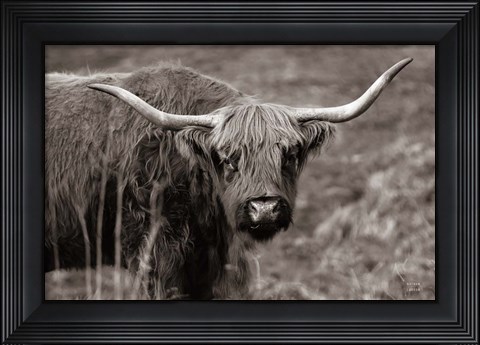 Framed Highland Spring Print