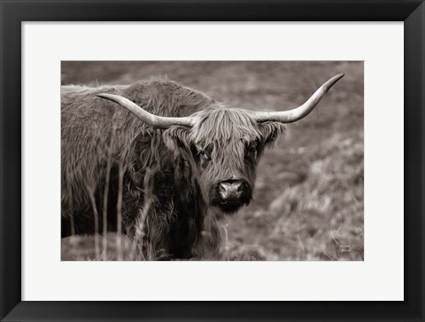 Framed Highland Spring Print